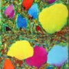 S COLORES DEL PIMPOLLAR - 3