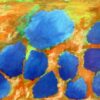 LOS COLORES DEL PIMPOLLAR- 6