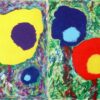 LOS COLORES DEL PIMPOLLAR - 11